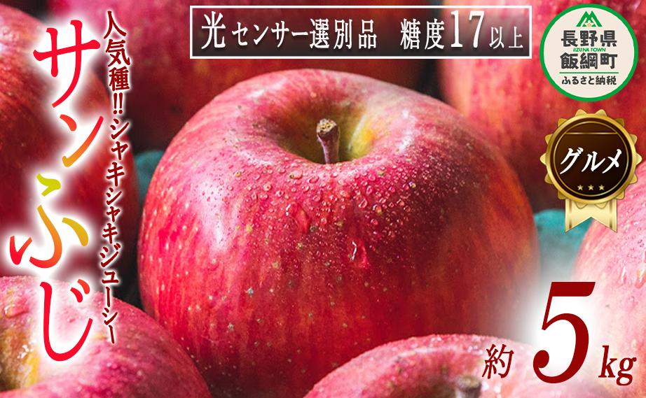 りんご サンふじ グルメ 5kg 最高級 最高ランク 糖度17度以上 光センサー選別品 ながの農業協同組合 2026年12月上旬頃から2026年12月下旬頃まで順次発送予定 令和8年度収穫分 信州 果