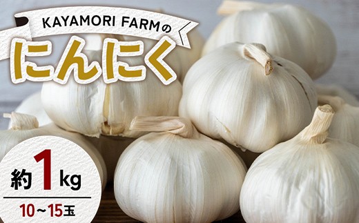 
            KAYAMORI FARMのにんにく 約1kg（10～15玉） F6U-375
          