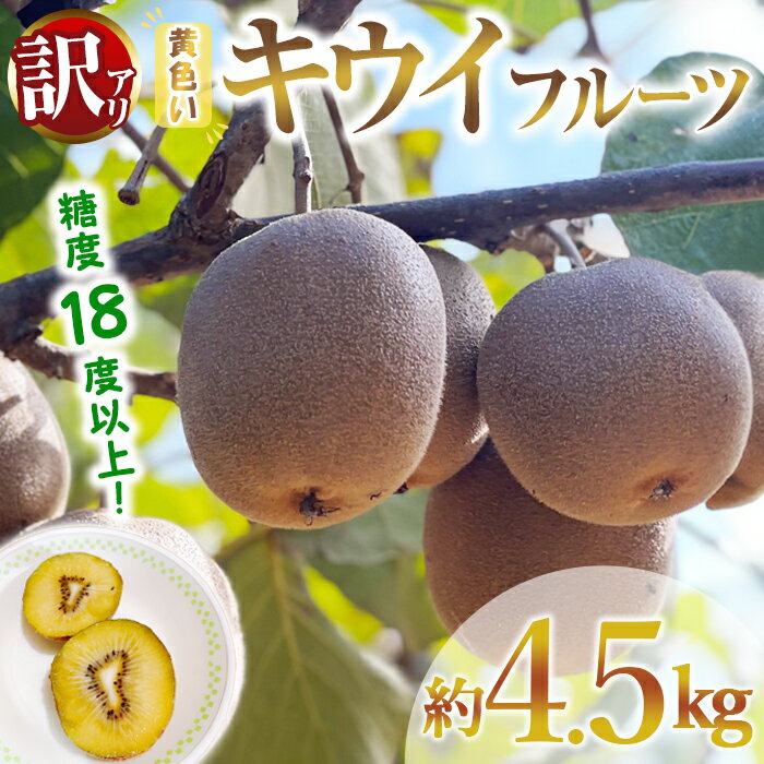 【ふるさと納税】【先行予約】【訳あり】茨城県産 黄色いキウイ 4.5kg 訳あり 訳アリ キウイ キウイフルーツ 果物 フルーツ 青果物 【こばしファーム】【ho1550】