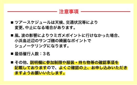 【小浜島発】幻の島上陸＋ウミガメとシュノーケリング♪　無料『マーメイド体験、シャワー、お食事、小浜観光』【 旅行 体験チケット観光 大自然 体験ツアー 観光 沖縄 アクティビティ シュノーケリング 】
