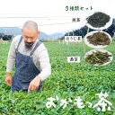 【ふるさと納税】 おかもっ茶 煎茶 ほうじ茶 番茶 3種類 セット 1.1kg 日本茶 緑茶 茶葉 【送料無料】 京都 舞鶴 お茶 舞鶴茶