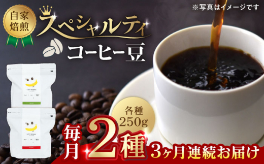 
【3回定期便】【豆のまま】自家焙煎 スペシャルティコーヒー 豆 （ 250g × 2種 ）約40杯分【かきやま果実】珈琲豆 深煎 中煎 コーヒー豆 焙煎 熊本 コーヒー豆定期 おうちカフェ [ZCJ019]
