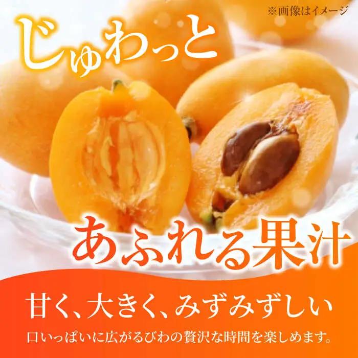 【★先行予約★ 2027年4月末発送開始】びわ 約250g(3-7個)×4パック / びわ [AFAB002]
