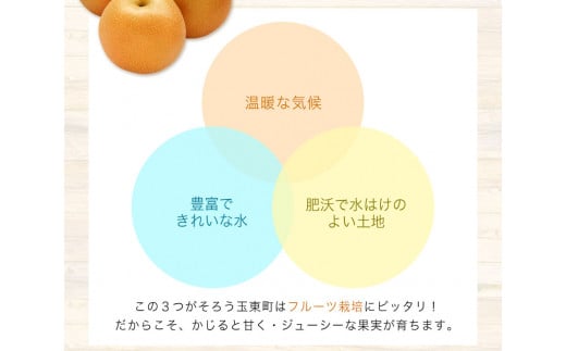 大隅果樹園の玉東梨(旬の品種をお届けします) 約5kg(13-20玉前後)   《8月中旬-9月上旬頃出荷》---sg_coosuminasi_g8_25_13000_5kg---