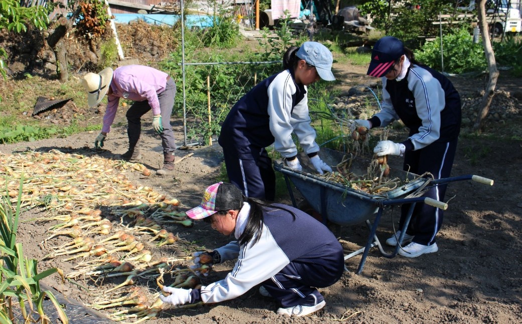 
            【ふるさと納税】1泊2日農泊体験コース
          