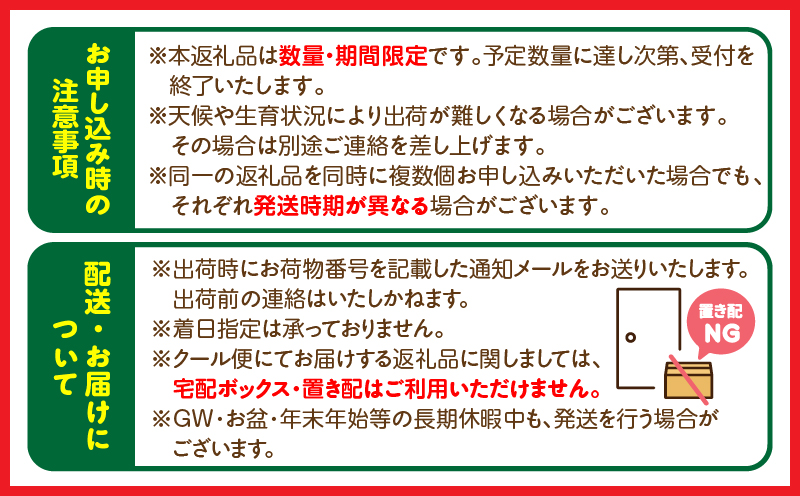 《2027年発送先行予約》【数量・期間限定】旬のフルーツ6ヶ月定期便vol.2 果物 フルーツ くだもの 定期便 フルーツ定期便 おすそ分け 贈り物 宮崎