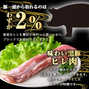 ＜定期便・全3回＞かごしま味わい黒豚 極みヒレ肉(計1.2kg/400g×3回) 豚肉 黒豚 ヒレ 【KNOT】 T59