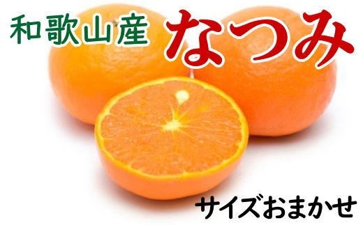【希少柑橘】 和歌山県 産 なつみ 5kg （S～2Lサイズおまかせ）【tec018-r-5】