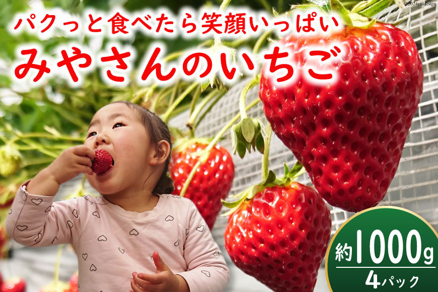 
            【期間限定発送】みやさん自慢のおすすめチョイス！ 完熟 いちご (250g×4パック) 約1000g [みやさんのいちご 宮崎県 日向市 452060988] イチゴ 苺 朝摘み 朝どれ 新鮮 さがのほか 紅ほっぺ はるうらら 国産
          