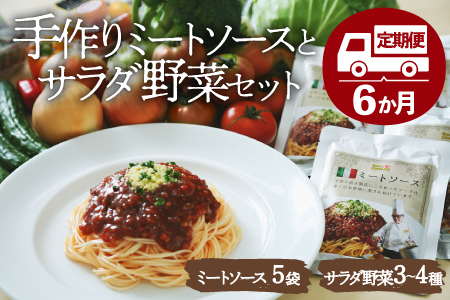 【全6回定期便】サラダ野菜×ミートソース /ヒロファミリーフーズ[AGBX030] 野菜 サラダ