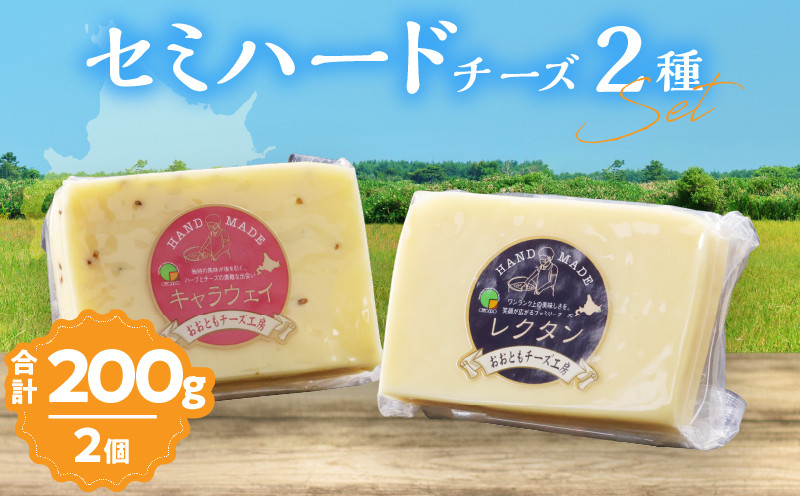 
                  【おおともチーズ工房】セミハードチーズ2種セット(キャラウェイ・レクタン)_H0003-154
                