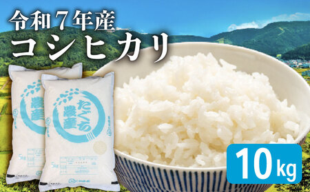 先行予約 令和7年産 こしひかり 5kg×2袋(10kg)  新米 米 精米 コメ お米 白米 ご飯 コシヒカリ 10kg 5kg 令和7年 滋賀 彦根