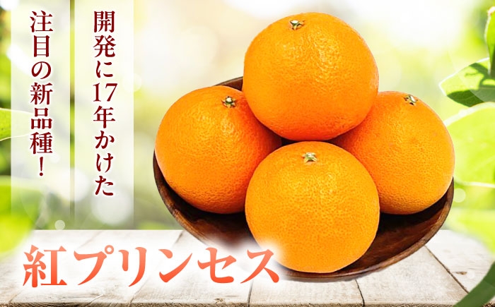 柑橘 蜜柑 みかん ミカン みかんジュース 愛果48号 3kg 甘い 愛媛 贈答