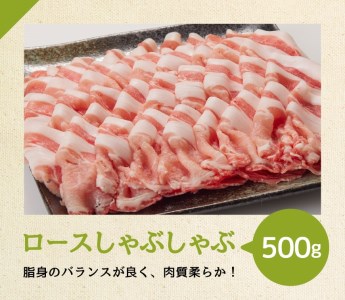 宮崎県産豚肉しゃぶしゃぶセット3kg【豚肉 肉 国産豚肉 ブランド豚 宮崎県産豚肉】