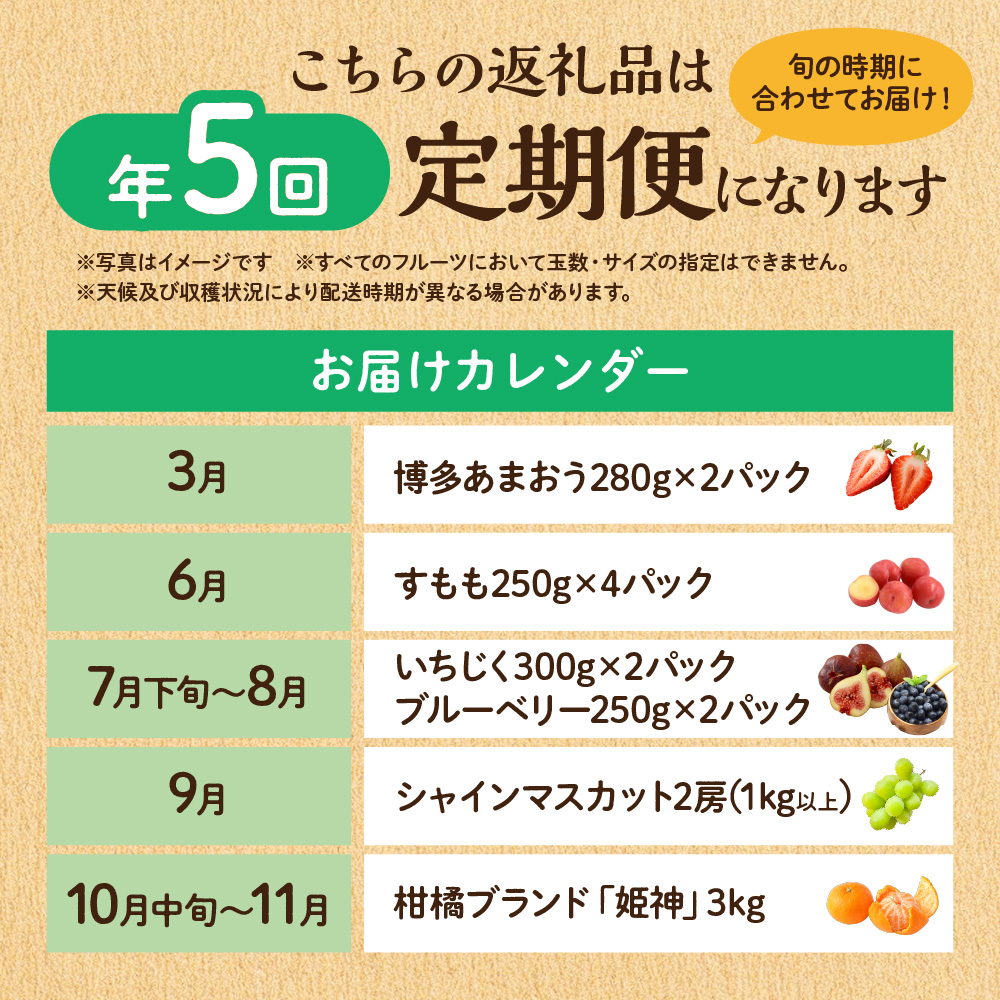 【定期便/年5回】JAむなかた厳選！人気フルーツ定期便【JAむなかた ほたるの里】_HB0164