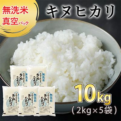 ふるさと納税 亀岡市 【令和7年産】無洗米 京都丹波産 キヌヒカリ 10kg(2kg×5袋) 真空パック