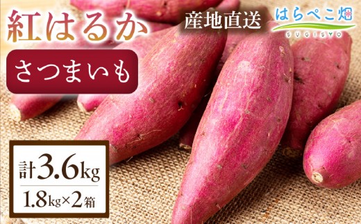 【ねっとり甘い蜜芋】さつまいも 紅はるか（1.8kg×2箱）合計3.6kg・H100