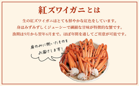 【訳あり】≪浜茹で≫越前産 紅ずわいがに 肩 約 1kg【紅ズワイガニ ボイル 蟹 かに 福井県】【10月発送】 [e22-x010_10]