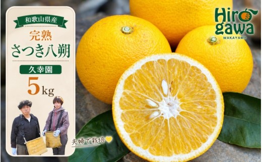 
                  完熟 さつき 八朔 5kg / はっさく 甘い 和歌山 柑橘 ※2027年4月上旬～5月上旬頃に順次発送予定 【hsk022-r-5】
                