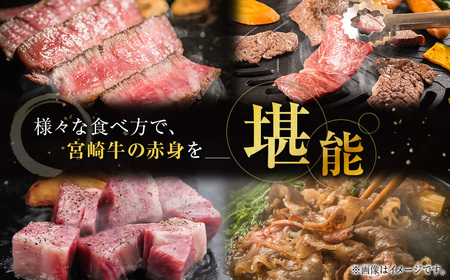 宮崎牛　赤身バラエティセット700g　4等級以上　国産牛肉＜2.9-3＞