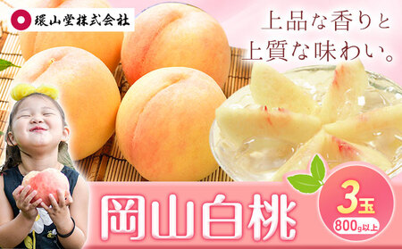 【2026年先行予約】桃 もも 岡山白桃 3玉(800g以上) 岡山県産 環山堂株式会社《2026年7月上旬-8月上旬頃出荷》岡山県 浅口市 白桃 果物 フルーツ 送料無料