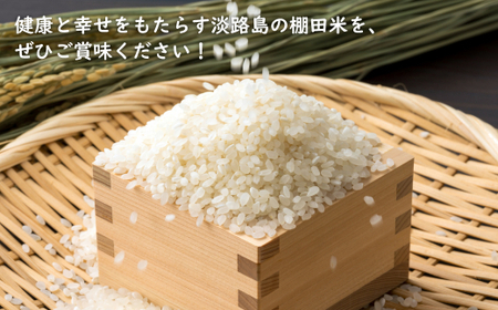 健幸農園の棚田米5kg