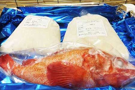 【北海道根室産】キンキ(下ごしらえ済)1尾と真たらすりみセット A-72004