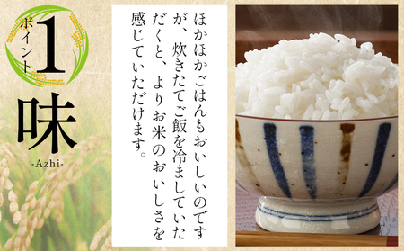 【令和7年産新米】コシヒカリ 5kg【コシヒカリ コシヒカリ コシヒカリ コシヒカリ コシヒカリ コシヒカリ】 at-0032