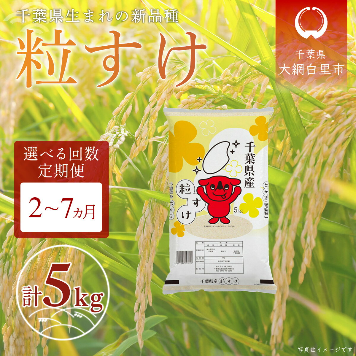 【ふるさと納税】 令和7年産 千葉県産「粒すけ」5kg 選べる配送回数 2回 / 3回 / 4回 / 5回 / 6回 / 7回 ふるさと納税 米 定期便 5kg 粒すけ 千葉県 大網白里市 送料無料