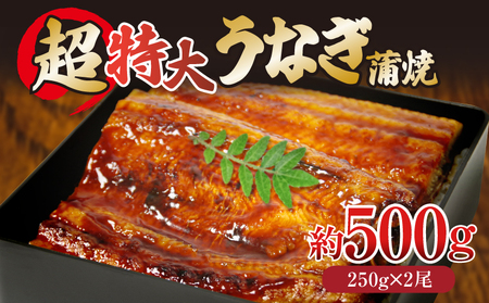 うなぎ 蒲焼き  特大 2尾 計500g 250g×2尾 ) ご飯にかける専用タレ付き！ 冷凍 