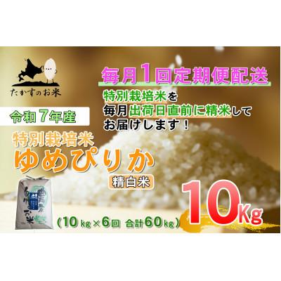 ふるさと納税 鷹栖町 【毎月定期便】【令和7年産】特別栽培米「ゆめぴりか」定期便(精白米・紙袋)10kg全6回