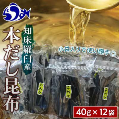 ふるさと納税 羅臼町 北海道羅臼町　昆布だし用小分け昆布10袋セット(40g×10袋)