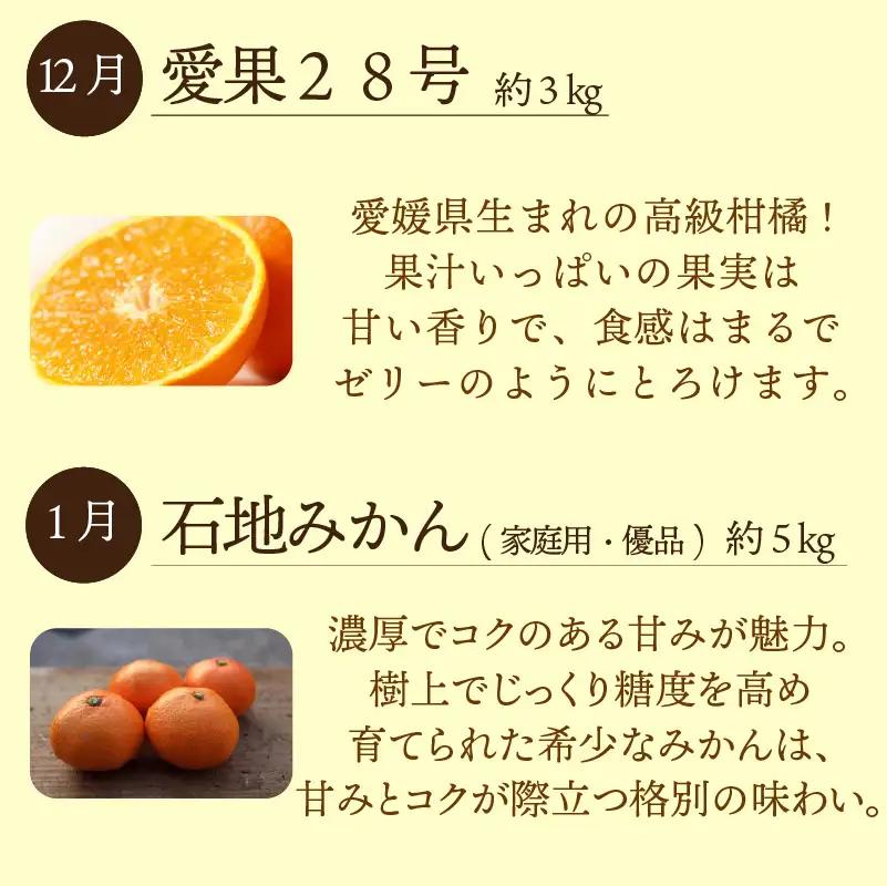 愛媛みかん 定期便 【全4回】 農家の一押し！ セレクト定期便 | 愛果28号 石地みかん せとか 完熟島いよかん 【KK337】