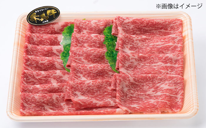 【全6回 定期便 】A4 ランク 博多 和牛 シャトーブリアン 180g×2枚 & A4 ランク 糸島 黒毛 和牛 肩ロース 500g & モモ肉 500g 糸島市 / 糸島ミートデリ工房 [ACA1