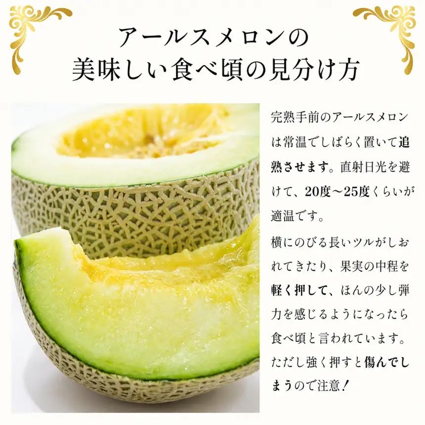 アールスメロン (2玉入り)