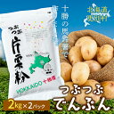 【ふるさと納税】北海道十勝更別村「つぶつぶでんぷん2kg」×2パック F21P-420