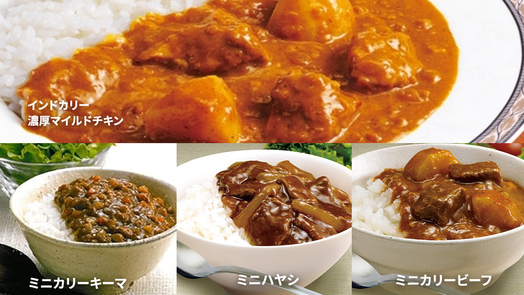新宿 中村屋 レトルト カリー 食べ比べ セット 10種 13個入 人気 詰合せ 洋食 時短 カレー インドカレー ビーフ キーマ チキン バター チキン ハヤシ ベジタブル 野菜 長期保存 災害用 