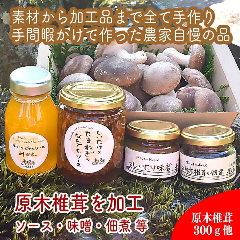 原木生椎茸と椎茸のソース&味噌&佃煮、椎茸の廃ホダを肥料に育ったみかんジャムのセット【家庭用 自宅用 贈答品 贈答用 ギフト お取り寄せ お中元 お歳暮 贈り物 お祝い 神奈川県 小田原市 しいたけ しいたけ】