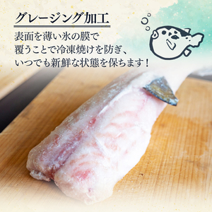 サバフグ むき身 1kg (500g×2パック) 小分け 訳あり不揃い