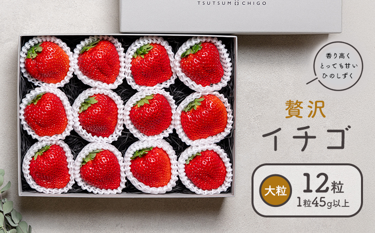贅沢イチゴ ひのしずく 約45g×12玉 いちご イチゴ 苺《2026年3月発送予定》ヴァリアス株式会社 果物 くだもの フルーツ 希少 ギフト プレゼント 贈り物 国産 九州産 熊本県 菊池市 送料無料---028-0004---