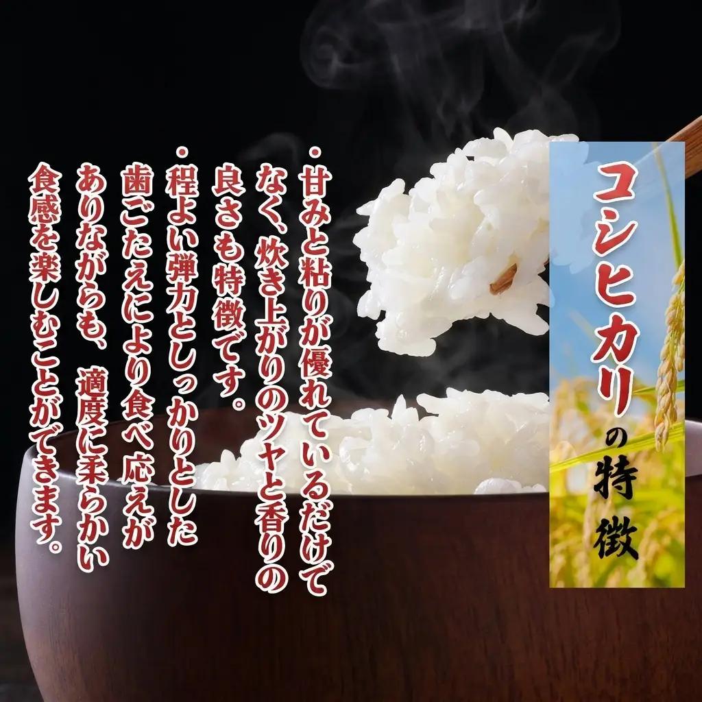 先行予約 令和8年産 新潟県上越市産 コシヒカリ 5kg 米 こしひかり ご飯 精米 お米 新潟 橋本農場