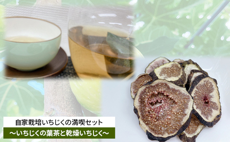 いちじく詰合せ 自家栽培 いちじく葉茶 乾燥いちじく2種 いちじく詰合せ