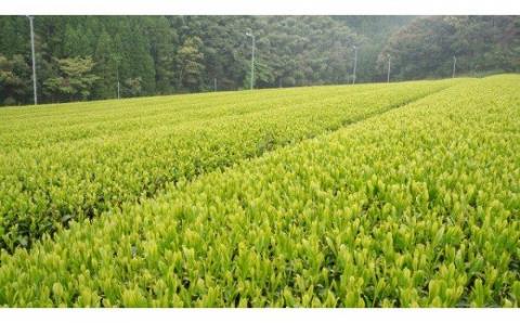 ａ－９１ 特選・孔子 うれしの茶セット