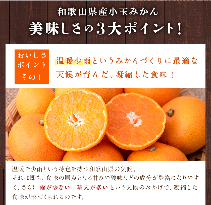 【訳あり/ご家庭用】和歌山県産小玉みかん 約3kg【3S-2Sサイズ】 サンファーム《10月上旬-1月下旬頃出荷》和歌山県 紀の川市