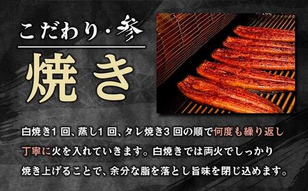 訳あり 国産 うなぎ 1食 パック 合計500g 山椒 付き タレ 15個 付 数量限定