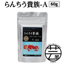 【ふるさと納税】 らんちう貴族A 60g 稚魚用 故郷納税 4000円＜最高級 フィッシュフード EPA・DHA配合 微粒タイプ らんちゅう 金魚 餌＞【餌 えさ エサ】【観賞魚 餌やり】【水槽/熱帯魚/観賞魚/飼育】【生体】【アクアリウム/あくありうむ】