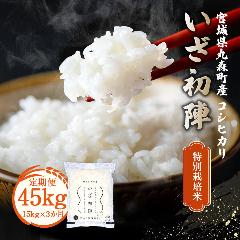 
【定期便】令和6年産 新米 精米 ブランド米「いざ初陣」15kg（1kg×15個を3カ月）食味値85以上 整粒歩合80%以上【0122201】
