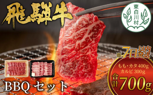 
【7営業日以内に発送】 飛騨牛 BBQセット 計700g カルビ 300g ももカタ 焼肉用 400g 肉のひぐち 20000円
