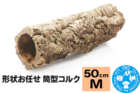 形状お任せ 筒型コルク Mサイズ 長さ50cm エアプランツ 着生植物