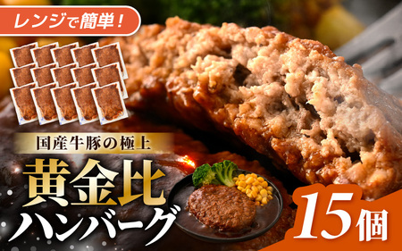 デミグラスハンバーグ 15個入り 簡単調理 ハンバーグ [A-0588]
